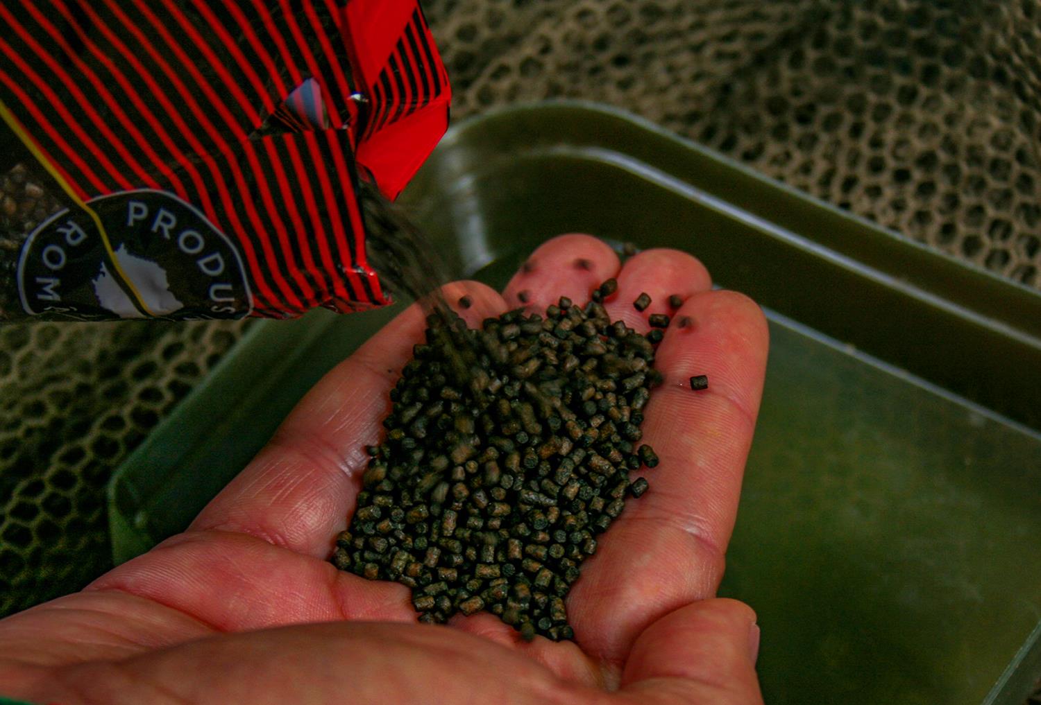 Pelete pentru pescuit la crap